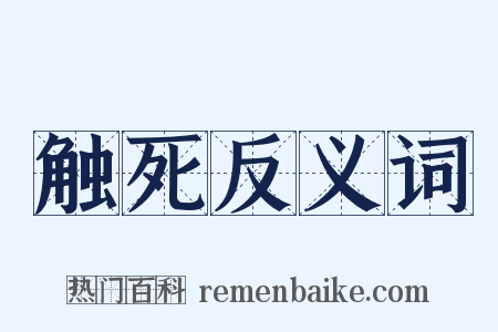 触死反义词是什么意思的图片